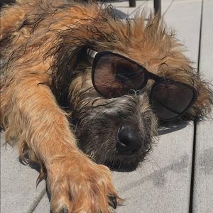 Meet your Posher, Gillian